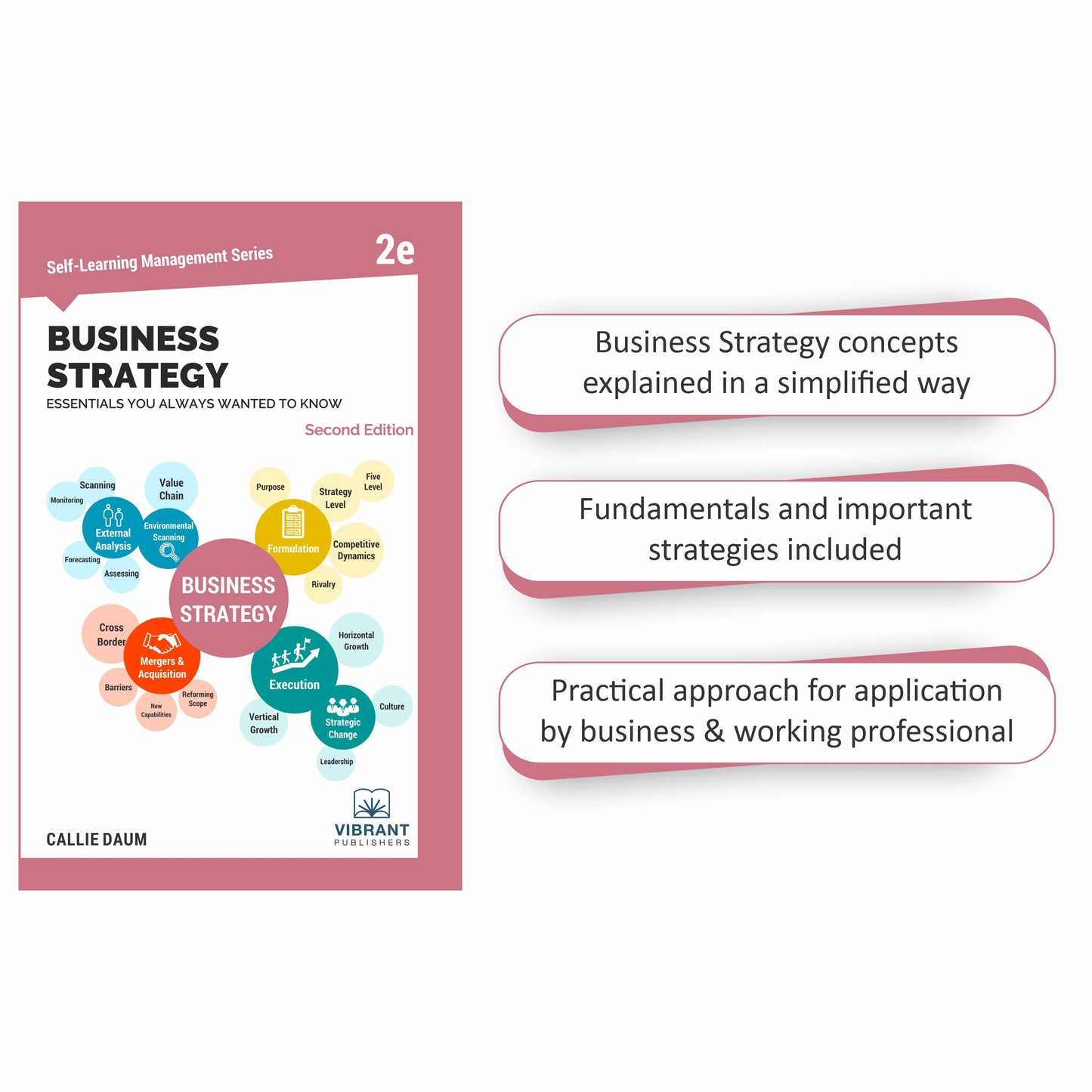 Business Strategy and Planning Fundamentals - Includes a guide on Business Laws in the US