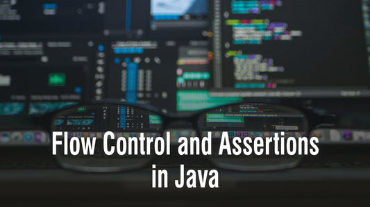 Flow Control and Assertions in Java