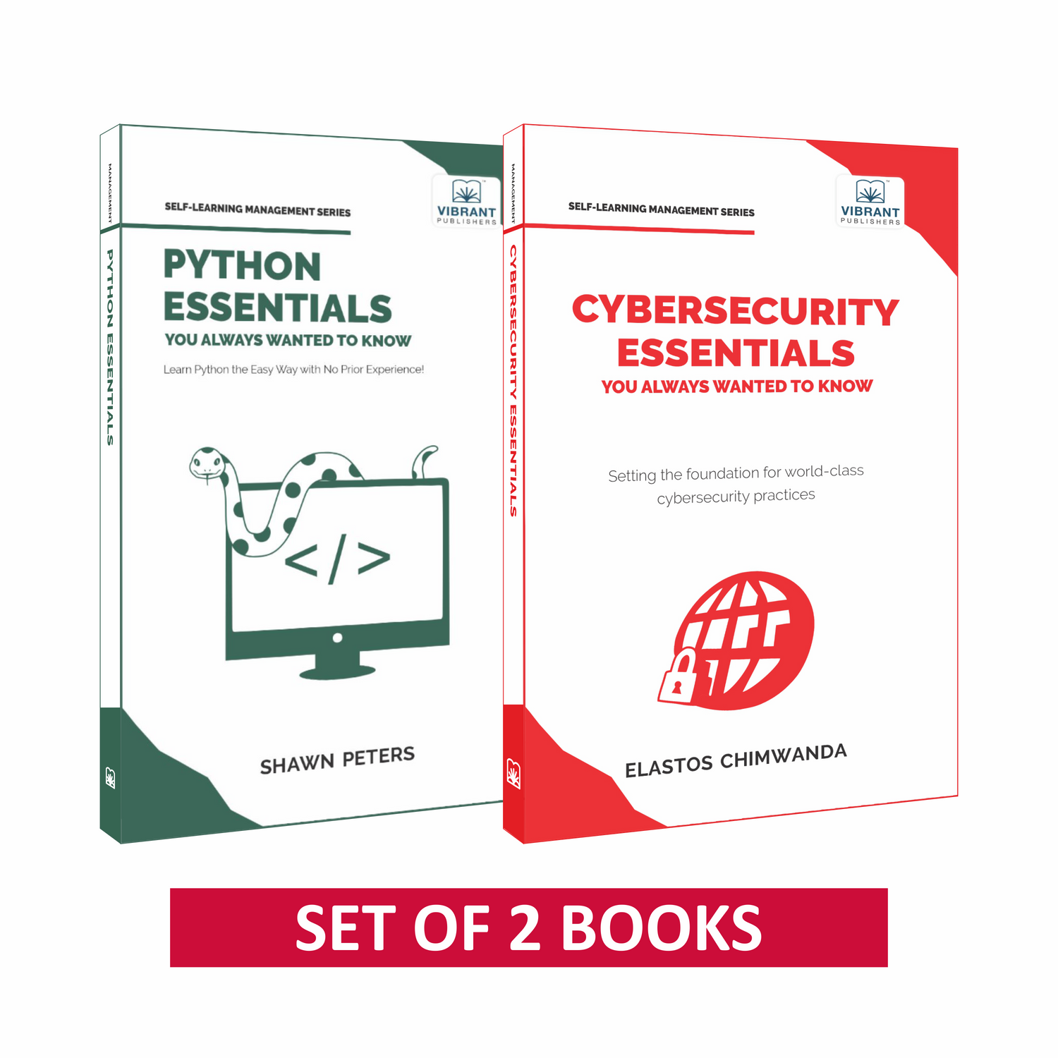 Cybersecurity and Python Essentials