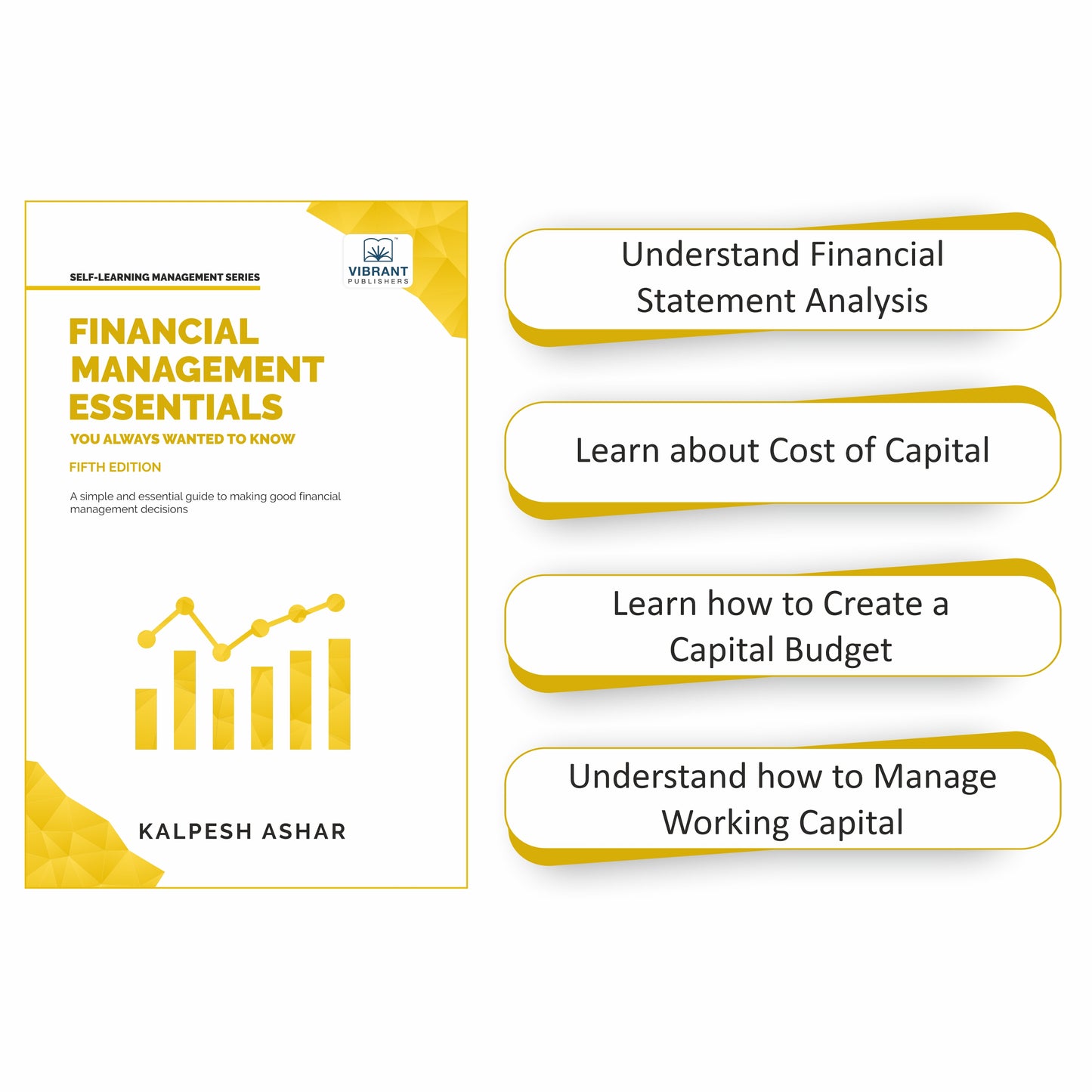 Financial Management Essentials You Always Wanted To Know: 5th Edition