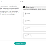 Online Practice Tests for the Digital SAT