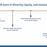 Diversity, Equity & Inclusion and Inclusive Leadership Essentials