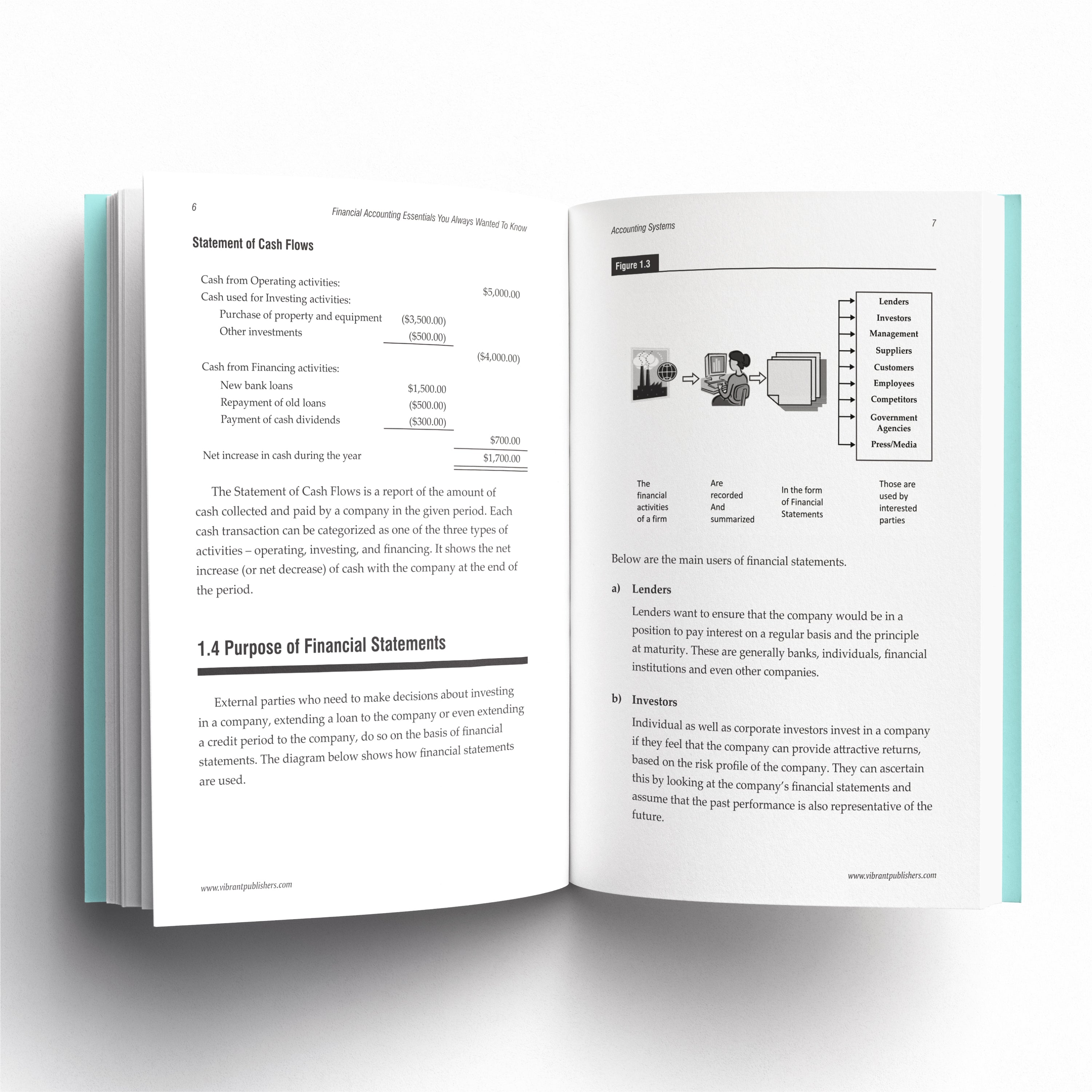 Financial Accounting Essentials You Always Wanted to Know: 5th